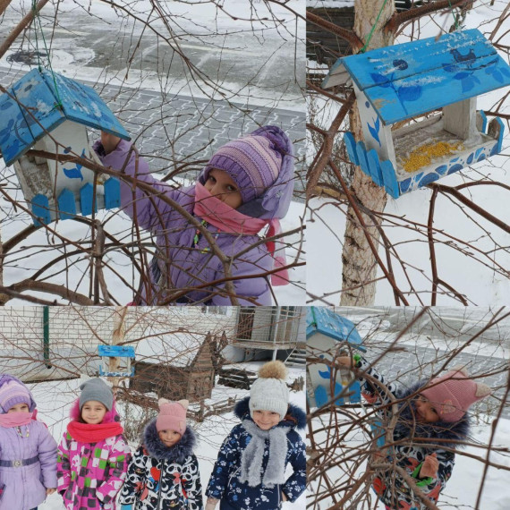 В центре проходит Всероссийская экологическая акция «Покормите птиц зимой!».